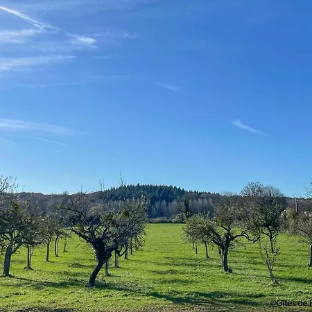Feriehus Maison Moderne Avec Terrasse, Jardin Et Wifi, Proche Randonnees - Fr-1-497-231 *